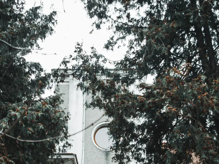 A house in the firs, sample sold home
